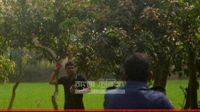 কুমিল্লায় পুলিশের ওপর বোমা হামলা, সন্দেহভাজন ২ জেএমবি সদস্য আটক
