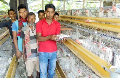 খরচ বাড়ায় হুমকিতে পোল্ট্রি শিল্প
