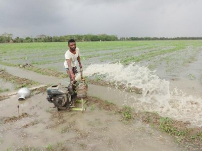 পানির নিচে তলিয়ে যাওয়া তরমুজ ক্ষেত্র