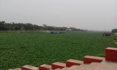 স্নানের বাকি দুই দিন, কচুরিপানায় ভরা ব্রহ্মপুত্র নদ