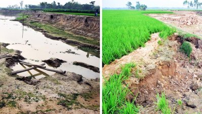 বালু উত্তোলনে হুমকিতে ফসলি জমি