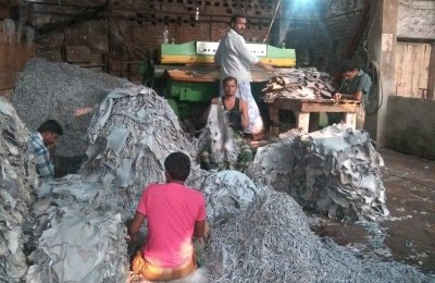 হাজারীবাগে ট্যানারিতে কাজ করছেন কয়েক জন শ্রমিক