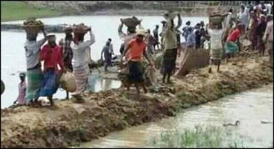 টানা বৃষ্টিতে হবিগঞ্জে সাড়ে ১৩ হাজার হেক্টর জমির ধান পানির নিচে