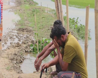 কিশোরগঞ্জে সাতশ কোটি টাকার ধান পানির নিচে