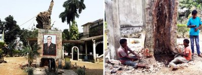 অনুমতি ছাড়াই নওয়াব প্যালেসের শতবর্ষী গাছ বিক্রি