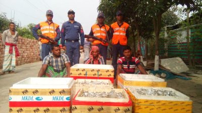 ৮০০ কোজি জাটকাসহ আটক ৩