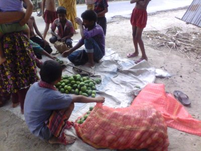 কালবৈশাখি ঝড়ে রাজশাহীতে আমের চার শতাংশ ক্ষতি, নিহত এক