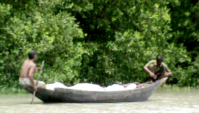 সুন্দরবনের কাঁকড়া যাচ্ছে বিশ্ববাজারে
