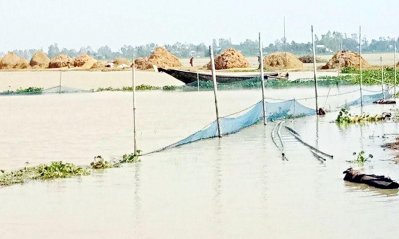 বন্যায় তলিয়ে গেছে মাছের খামার