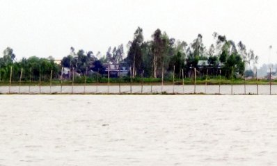 হবিগঞ্জে বন্যায় ভেসে গেছে ৫ কোটি টাকার মাছ
