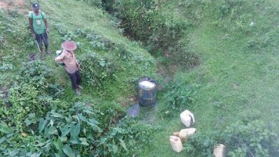 চা বাগানে কীটনাশক প্রয়োগে নিয়ম মানা হচ্ছে না