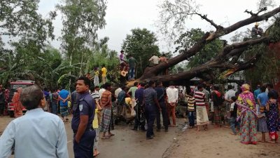 ঝড়ে সড়কে উপরে পড়া গাছ
