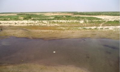 পদ্মায় বিশাল চর জেগেছে