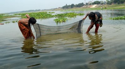 শুষ্ক মৌসুমে মহানন্দায় গামছা দিয়ে মাছ ধরছে শিশুরা