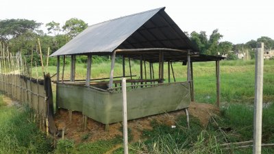জমি দখল নিয়ে সংঘর্ষে যুবলীগ নেতা নিহত
