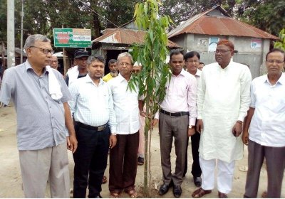 দাশিয়ারছড়ায় বৃক্ষরোপন কর্মসূচির উদ্বোধন