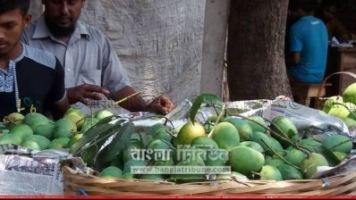 সাতক্ষীরার আম