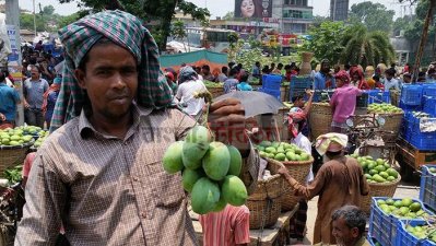 রাজশাহীতে আমের বাজার