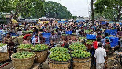 রাজশাহীতে আমের বাজার