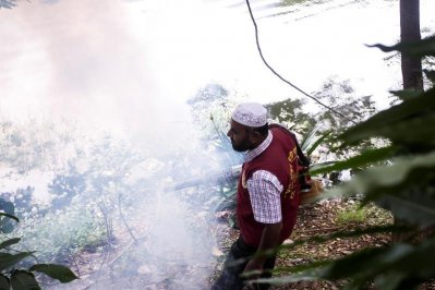 চিকনগুনিয়া প্রতিরোধে মাঠে মেডিক্যাল শিক্ষার্থীরা