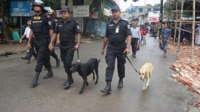 dhamrai dog