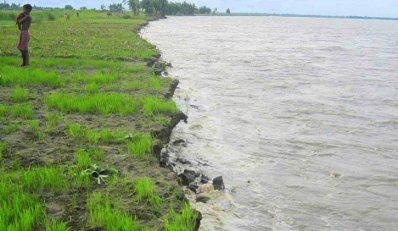 তিস্তা নদীর পানি বৃদ্ধি, ক্ষতিগ্রস্তদের চাল ও অর্থ বরাদ্দ