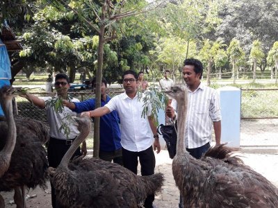 হাবিপ্রবিতে উটপাখির খামার