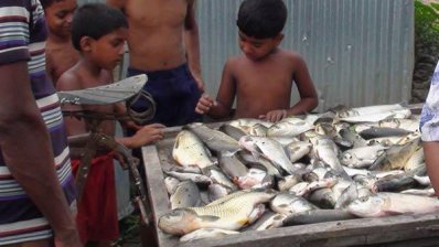 Gopalganj-Fish-Death-Photo-03-(05