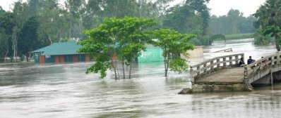 জামালপুরে বন্যা পরিস্থিতির অবনতি (ছবি: ফোকাস বাংলা)