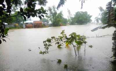 কমতে শুরু করেছে তিস্তার পানি