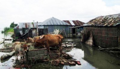 বগুড়ায় বন্যা পরিস্থিতি অপরিবর্তিত, শনিবার যাচ্ছেন ত্রাণমন্ত্রী
