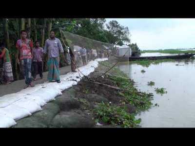 গাইবান্ধায় ক্ষতিগ্রস্ত বাঁধে বালুর বস্তা দিয়ে ভাঙন ঠেকানোর চেষ্টা (ছবি- গাইবান্ধা প্রতিনিধি)