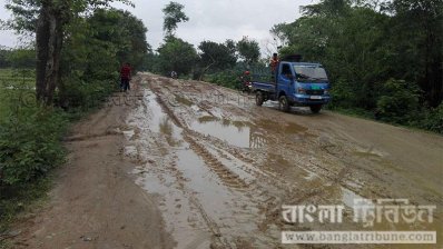 শ্রীপুর-বরমী সড়কের বেহাল দশা