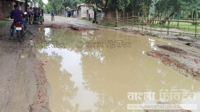 শ্রীপুর-বরমী সড়কের বেহাল দশা