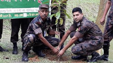 হিলি