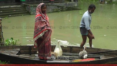 ফেনীতে জলাবদ্ধতায় ১৫ গ্রাম মানুষের দুর্ভোগ