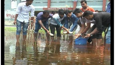জলাবদ্ধতা নিরসনে গাইবান্ধা সরকারি কলেজ মাঠে মাছের পোনা অবমুক্ত করছেন শিক্ষার্থীরা