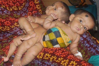 তৌফা-তহুরা