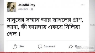 ব্যঙ্গাত্মক ফেসবুক স্ট্যাটাস