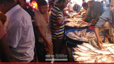 বাগেরহাটের বাজারে ইলিশ দেখছেন ক্রেতারা। ছবি- প্রতিনিধি