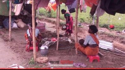 গাইবান্ধায় দুর্ভোগে সাঁওতালরা