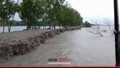 দাকোপে নদী ভাঙনে বিলীন হচ্ছে কামিনী-বাসিয়া বেড়িবাঁধ