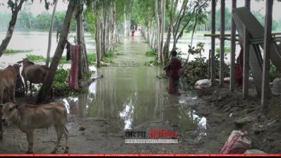 গাইবান্ধায় বন্যা