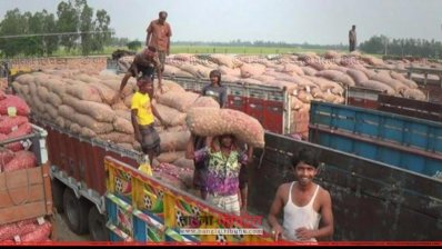 আমদানি কমায় হিলিতে কেজিতে পেঁয়াজের দাম বেড়েছে ১০ টাকা