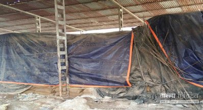 ৫০ কোটি টাকার পশুখাদ্য নষ্ট হচ্ছে বেনাপোল বন্দরে