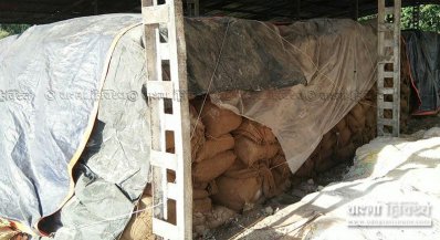 মাছ, হাঁস মুরগি ও পশুখাদ্যের চালান