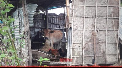 ‘গত ঈদেও কষ্ট করছি, এবারও করা লাগবে’