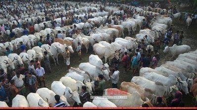 শিবগঞ্জের মনাকষা হাট (ছবি: চাঁপাইনবাবগঞ্জ প্রতিনিধি)