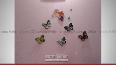 দেয়ালে রিশার লাগানো প্ল্যাস্টিকের প্রজাপতি