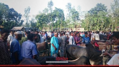 দাম কম হওয়ায় খুশি ক্রেতারা